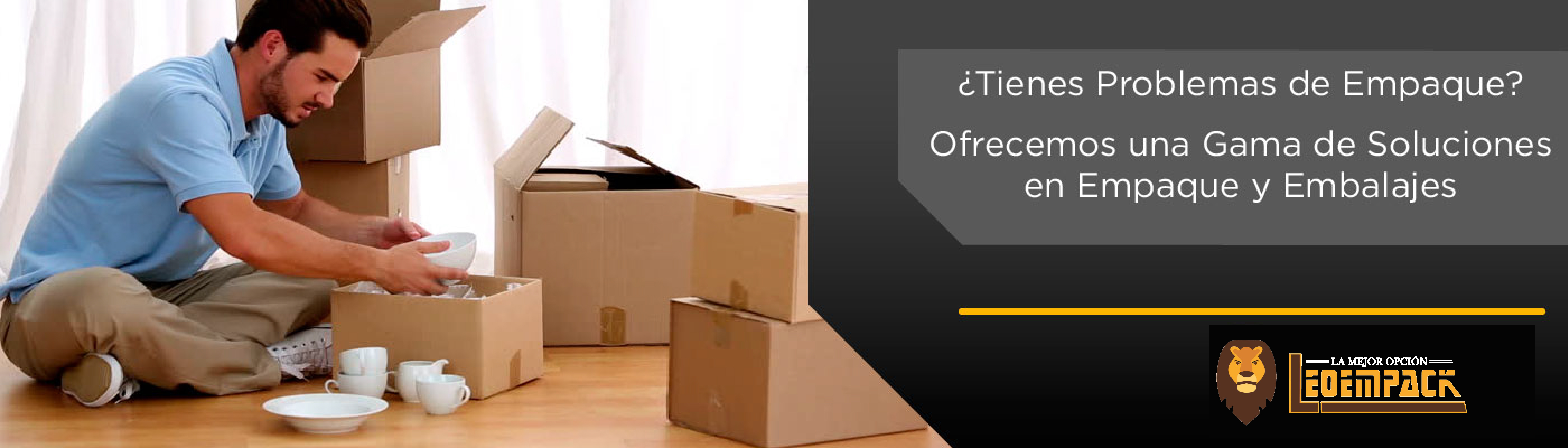 CAJAS DE CARTÓN PARA EMBALAJE